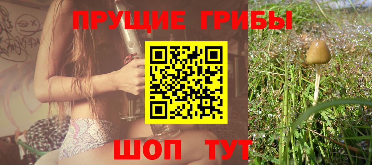 Псилоцибиновые грибы прущие грибы  Вход с VPN  Ухта  Галлюциногенные грибы мицелий 