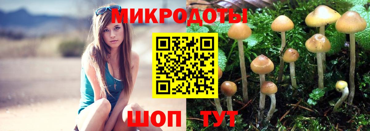 Псилоцибиновые грибы прущие грибы Ухта